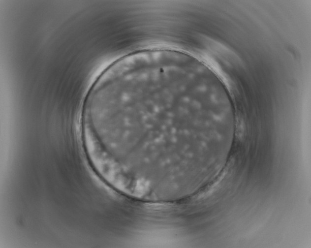 X0000113180863200910021541