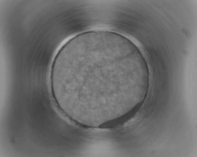 X0000113180864200910021541