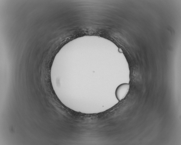 X0000113180865200910021541