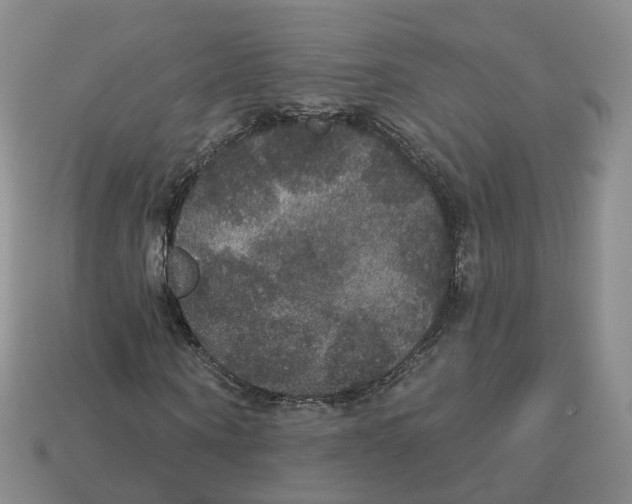 X0000113180866200910021541