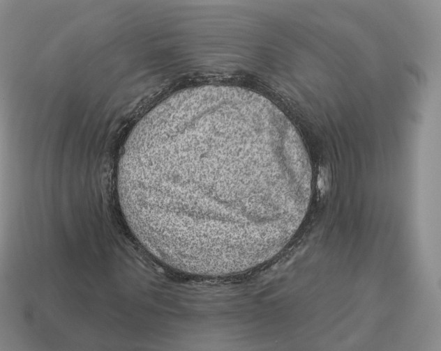 X0000113180867200910021541