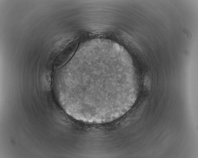 X0000113180868200910021541