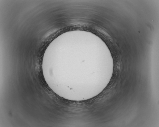 X0000113180869200910021541