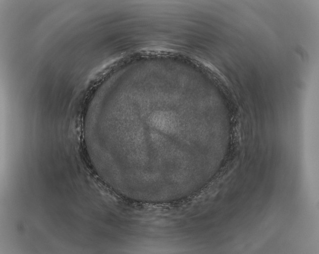 X0000113180870200910021541