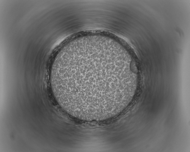 X0000113180871200910021541