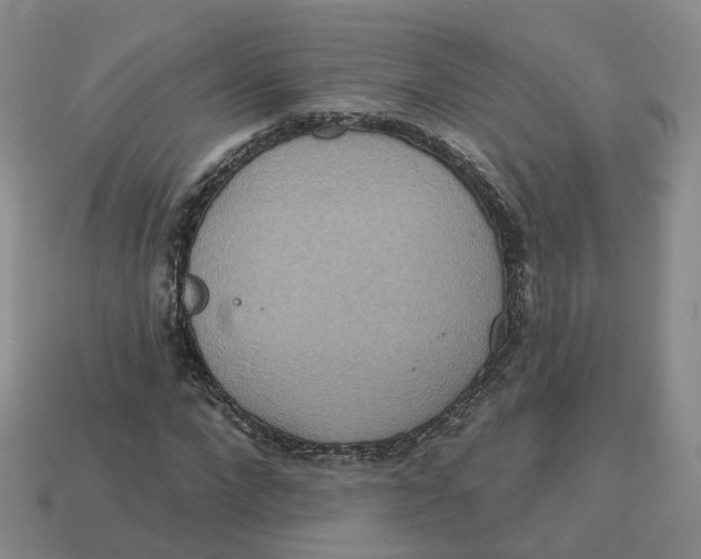 X0000113180872200910021541
