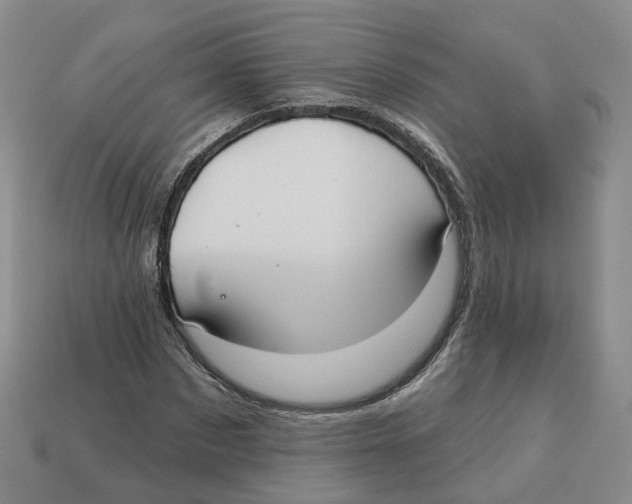 X0000113180873200910021541
