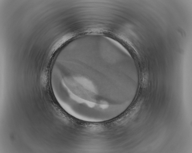 X0000113180874200910021541