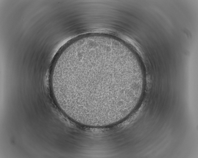 X0000113180875200910021541