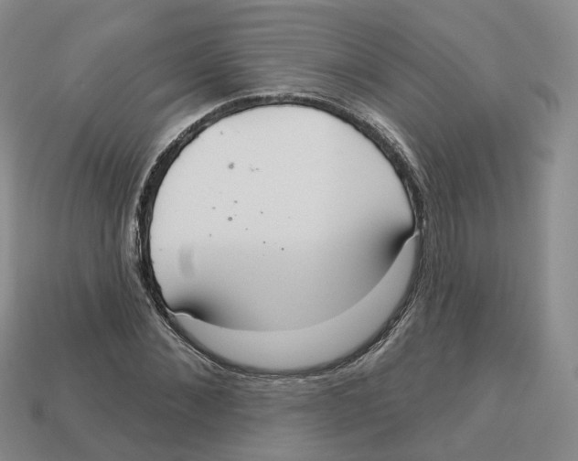 X0000113180876200910021541