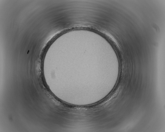 X0000113180878200910021541