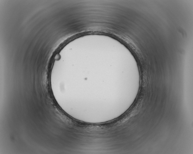 X0000113180880200910021541