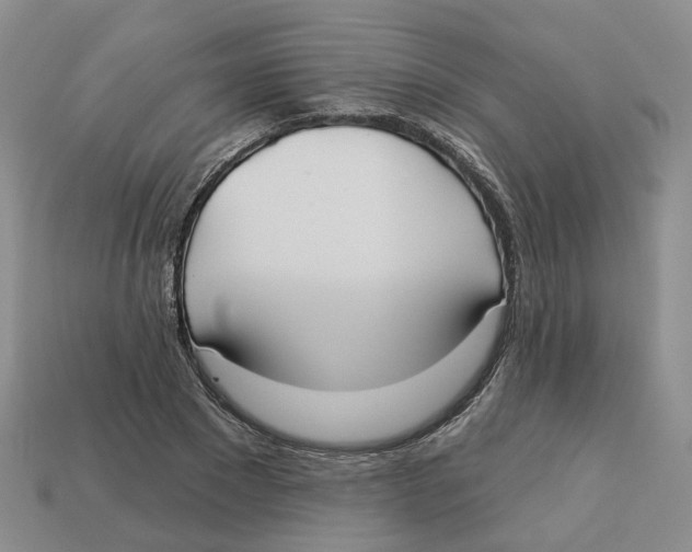 X0000113180881200910021541