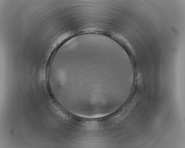 X0000113180882200910021541