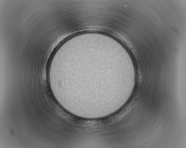 X0000113180883200910021541