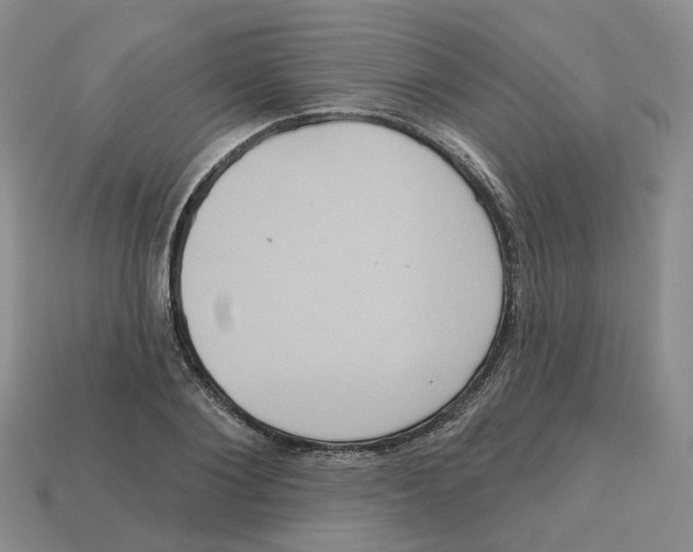 X0000113180884200910021541