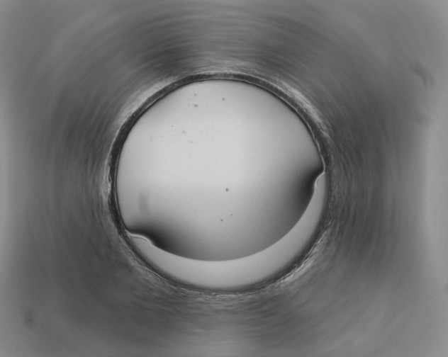 X0000113180885200910021541