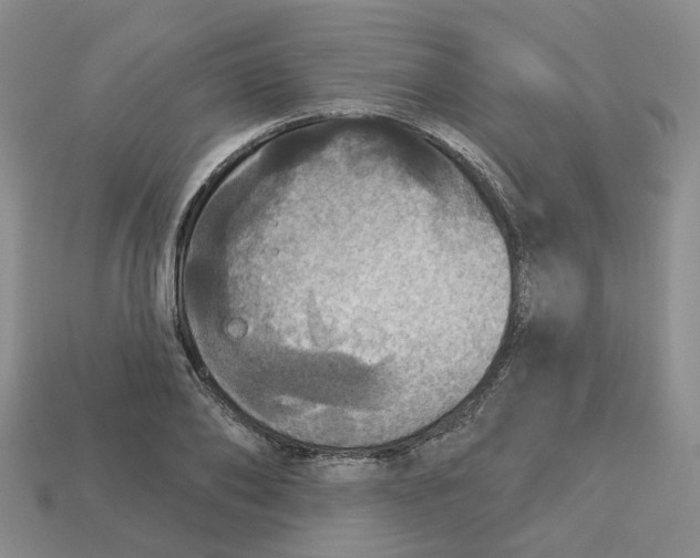 X0000113180886200910021541