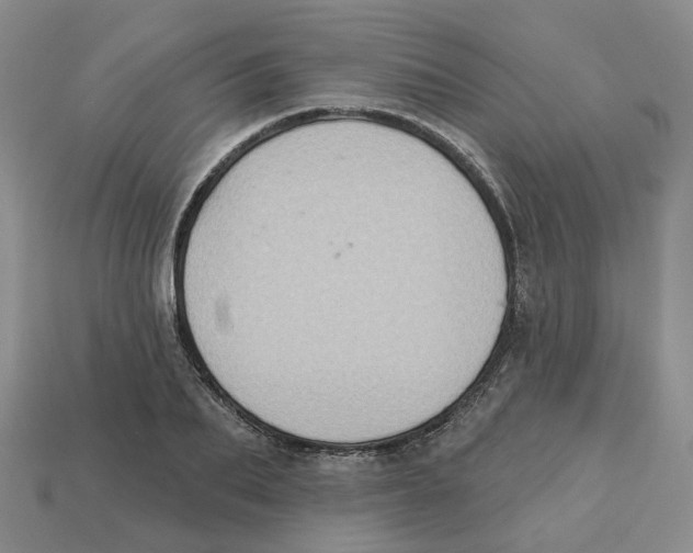 X0000113180887200910021541