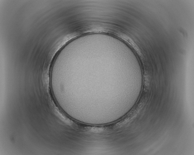 X0000113180890200910021541