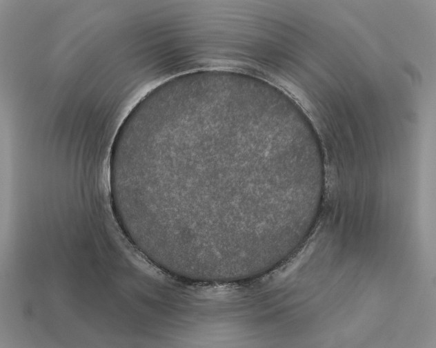 X0000113180891200910021541