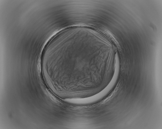X0000113180892200910021541