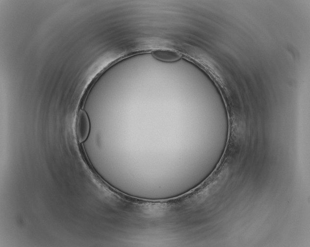 X0000113180893200910021541