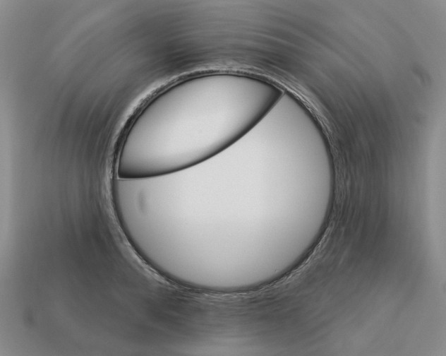 X0000113180896200910021540