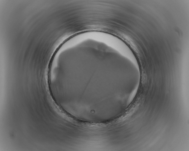 X0000113180899200910021540