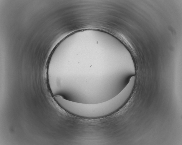 X0000113180900200910021540
