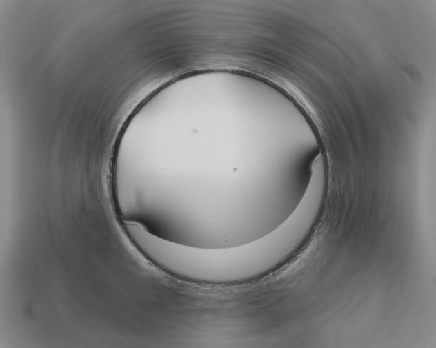 X0000113180901200910021540