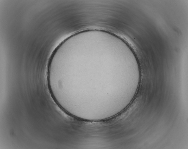 X0000113180902200910021540