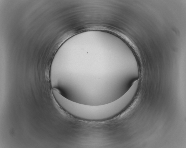 X0000113180905200910021540