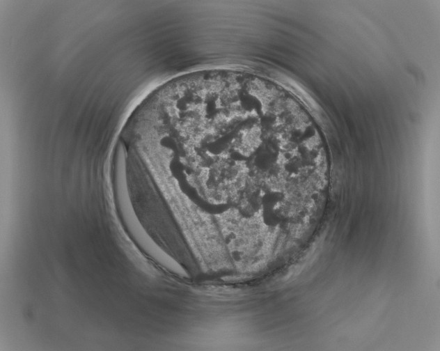 X0000113180907200910021540