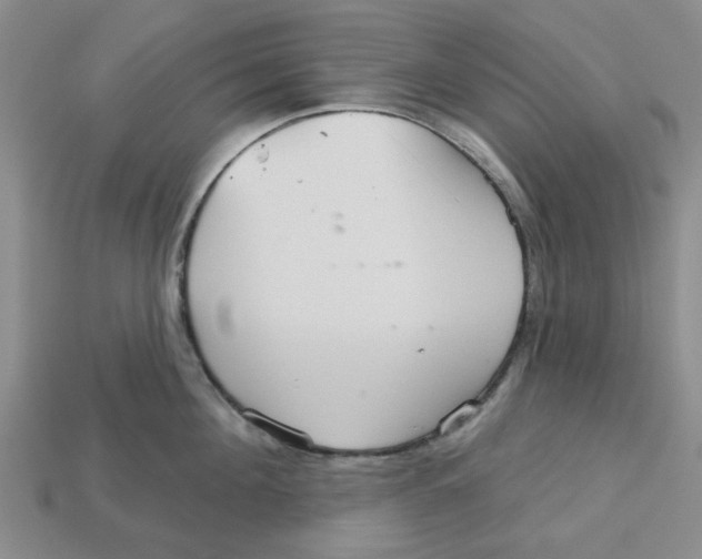 X0000113180908200910021540