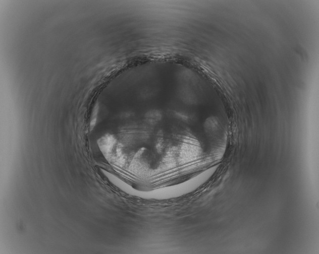 X0000113180913200910021540