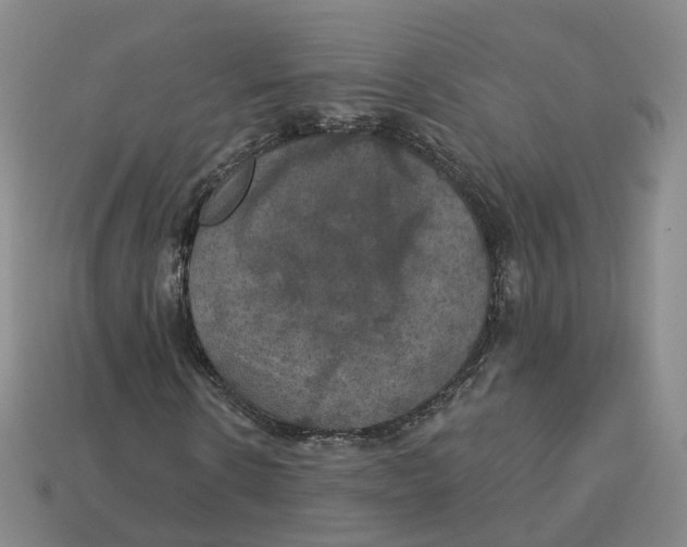 X0000113180914200910021540