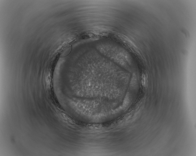 X0000113180915200910021540