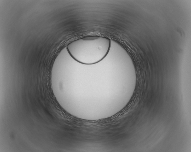 X0000113180916200910021540