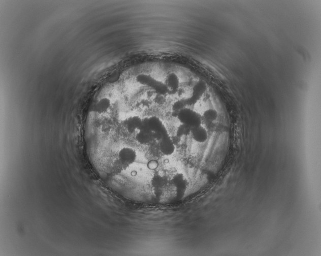 X0000113180917200910021540