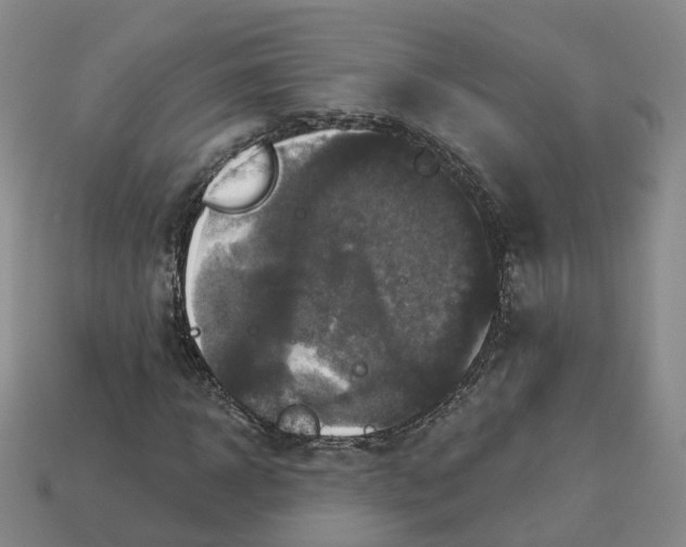 X0000113180918200910021540