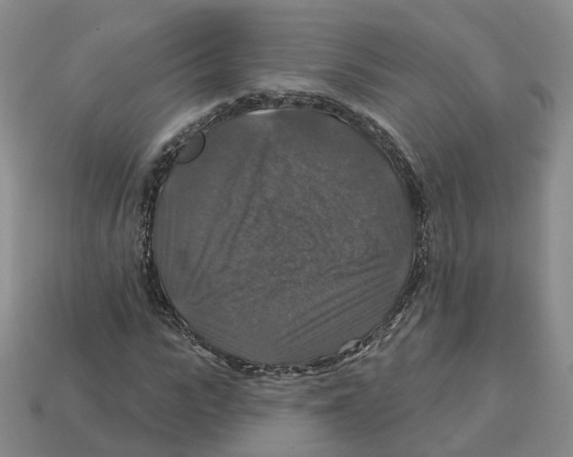 X0000113180919200910021540