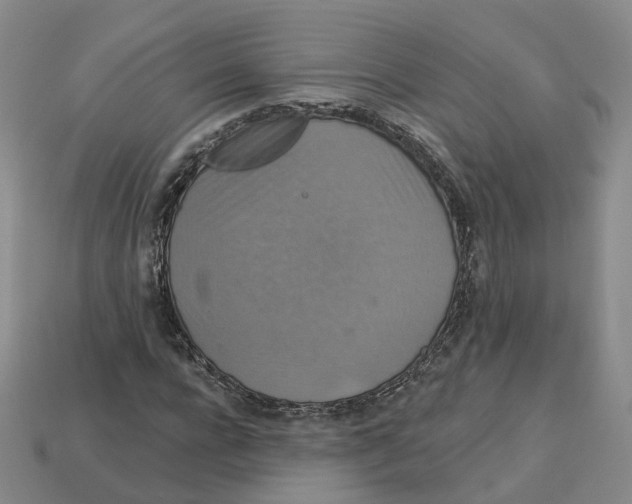 X0000113180920200910021540
