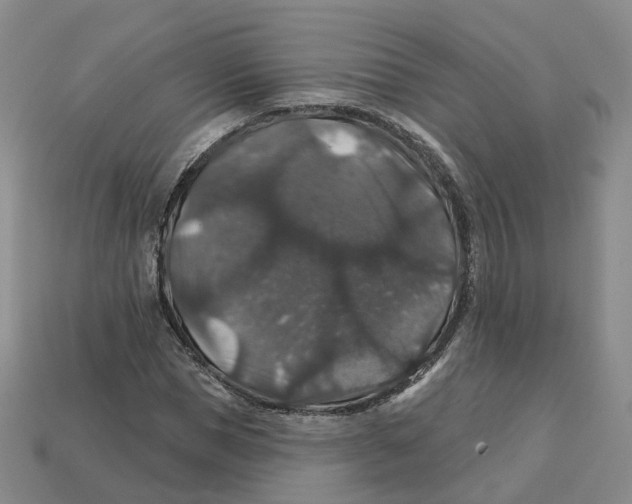X0000113180921200910021540