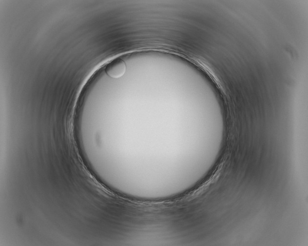 X0000113180924200910021540