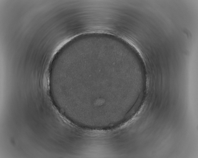 X0000113180925200910021540
