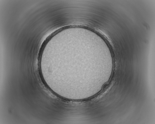 X0000113180928200910021540