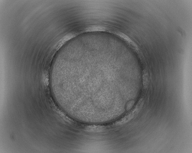 X0000113180929200910021540