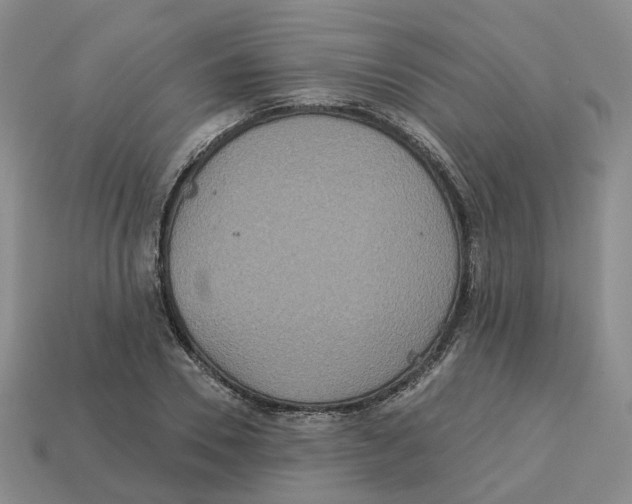 X0000113180930200910021540