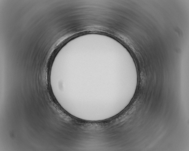 X0000113180931200910021540